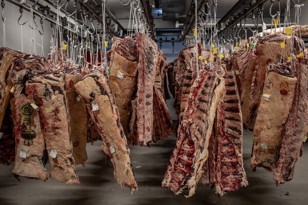 Hunks of bloody meat hanging in a big room.